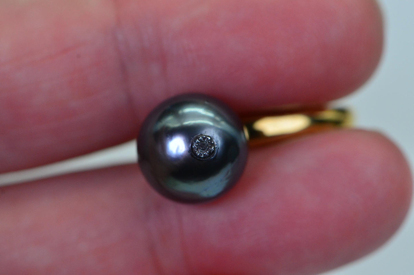 Tahitian Pearl Moissanite Earrings: 14K Gold Over Sterling Silver Dangle Studs