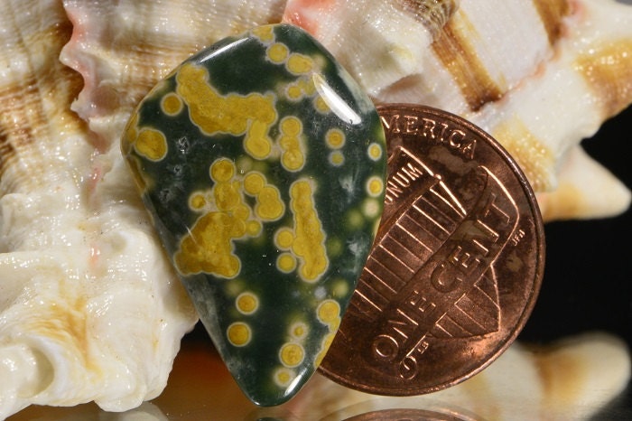 Ocean Jasper Cabochon: Green, Yellow, White Gemstone (24.6x16.5x4.5mm)